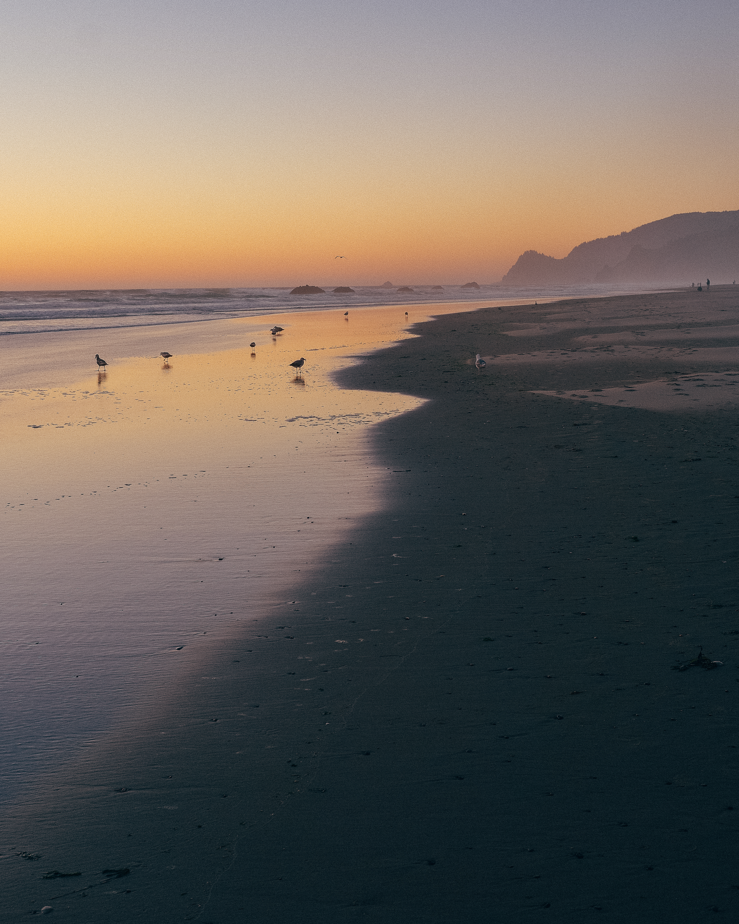 a beach with an orange tint to the sky, silhouettes of birds along the shore, and misted hills in the distance.